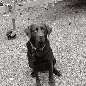 Meet your Posher, Jack